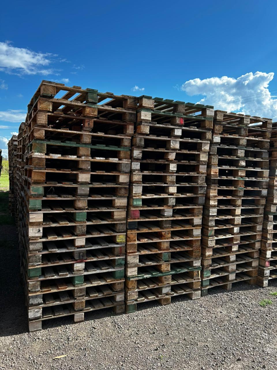 Pallet Liviano