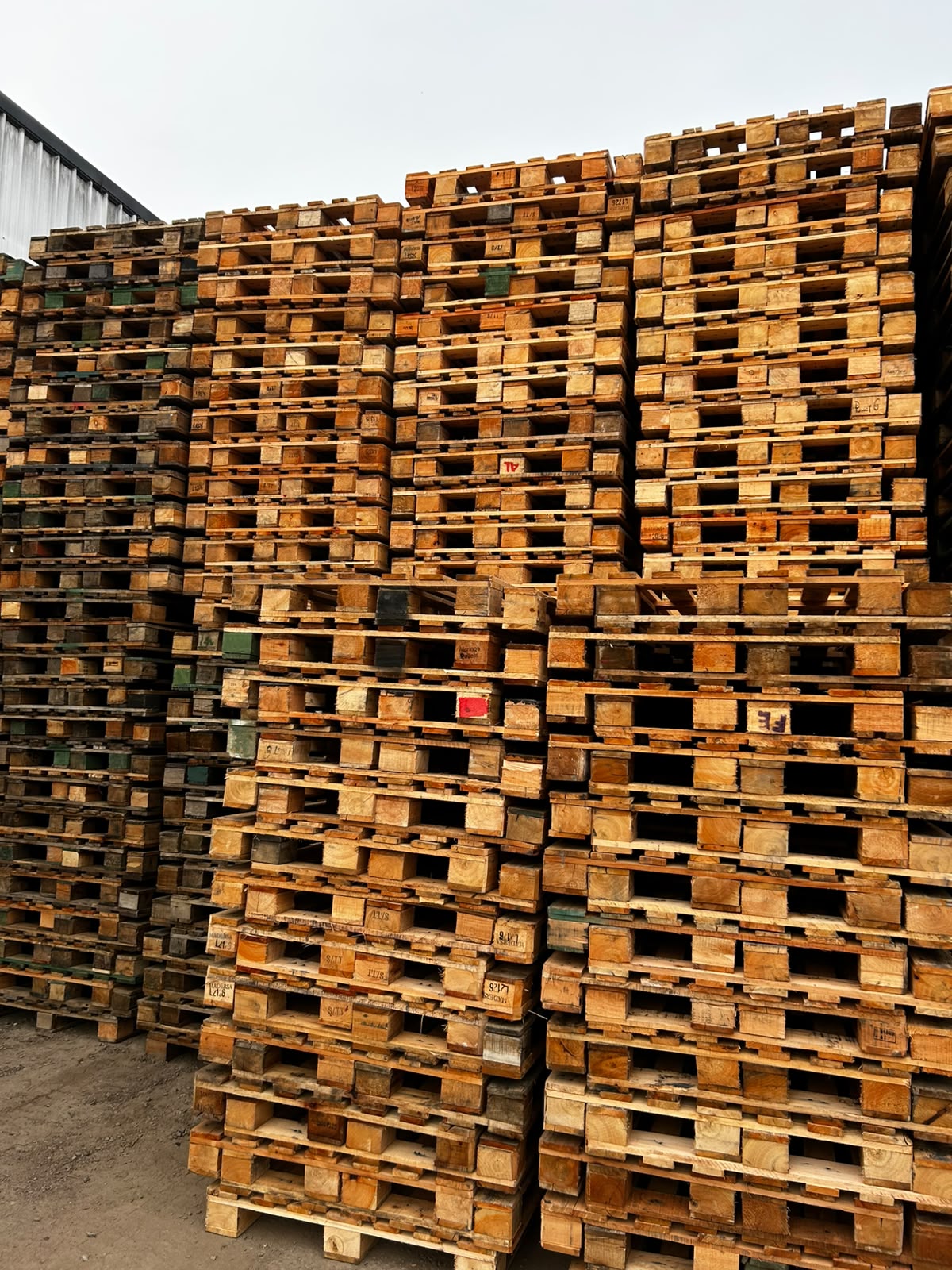 Pallet A (Arlog Premium) - Vista 1