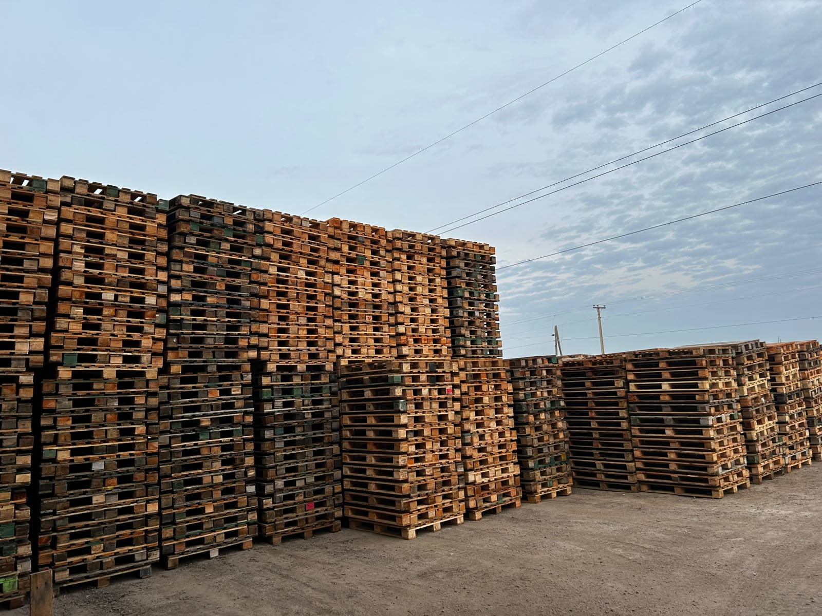 Pallet B (Arlog Medio) - Vista 1