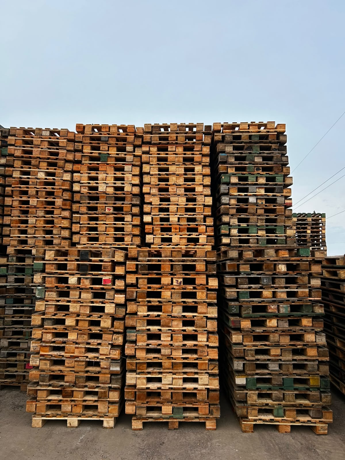 Pallet B (Arlog Medio) - Vista 2
