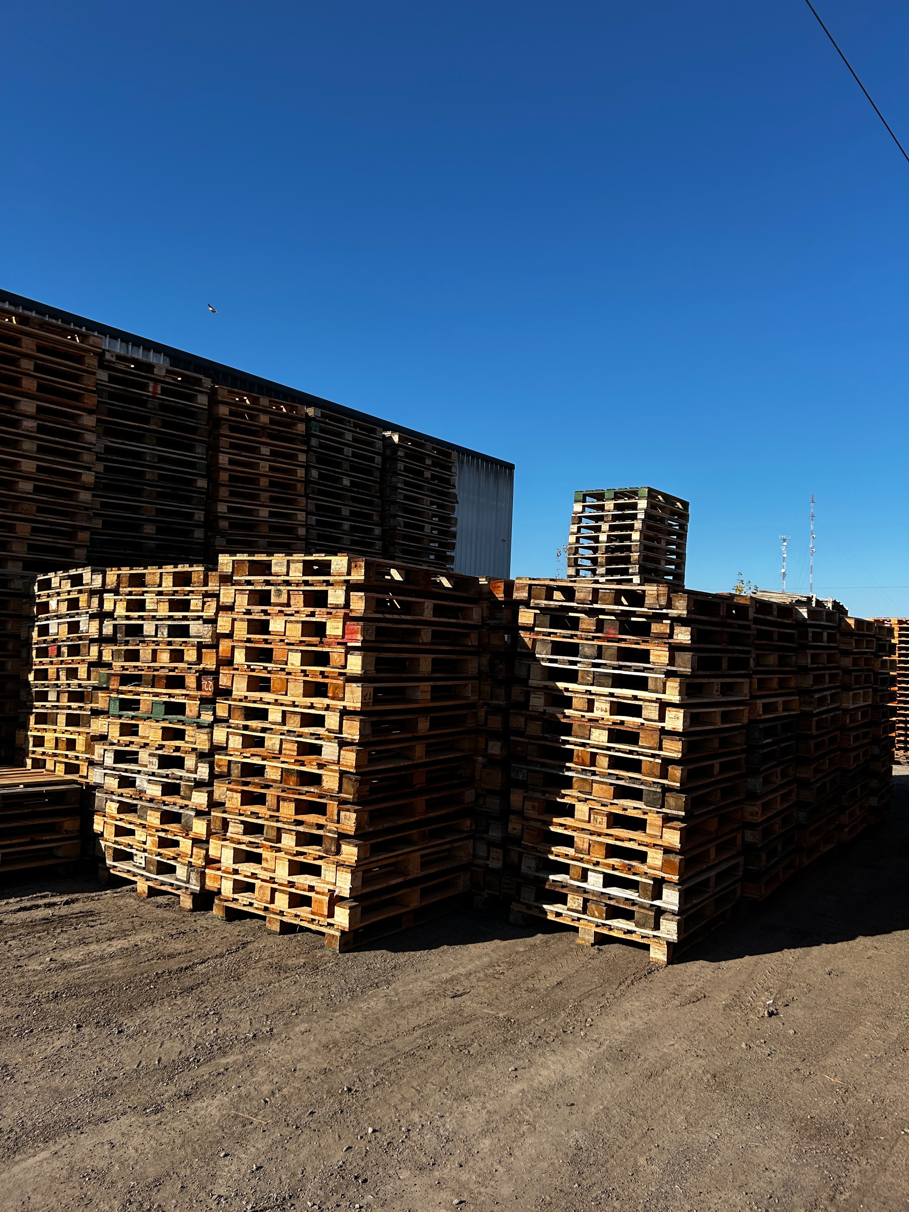 Pallet C (Tacos 90/100) - Vista 1