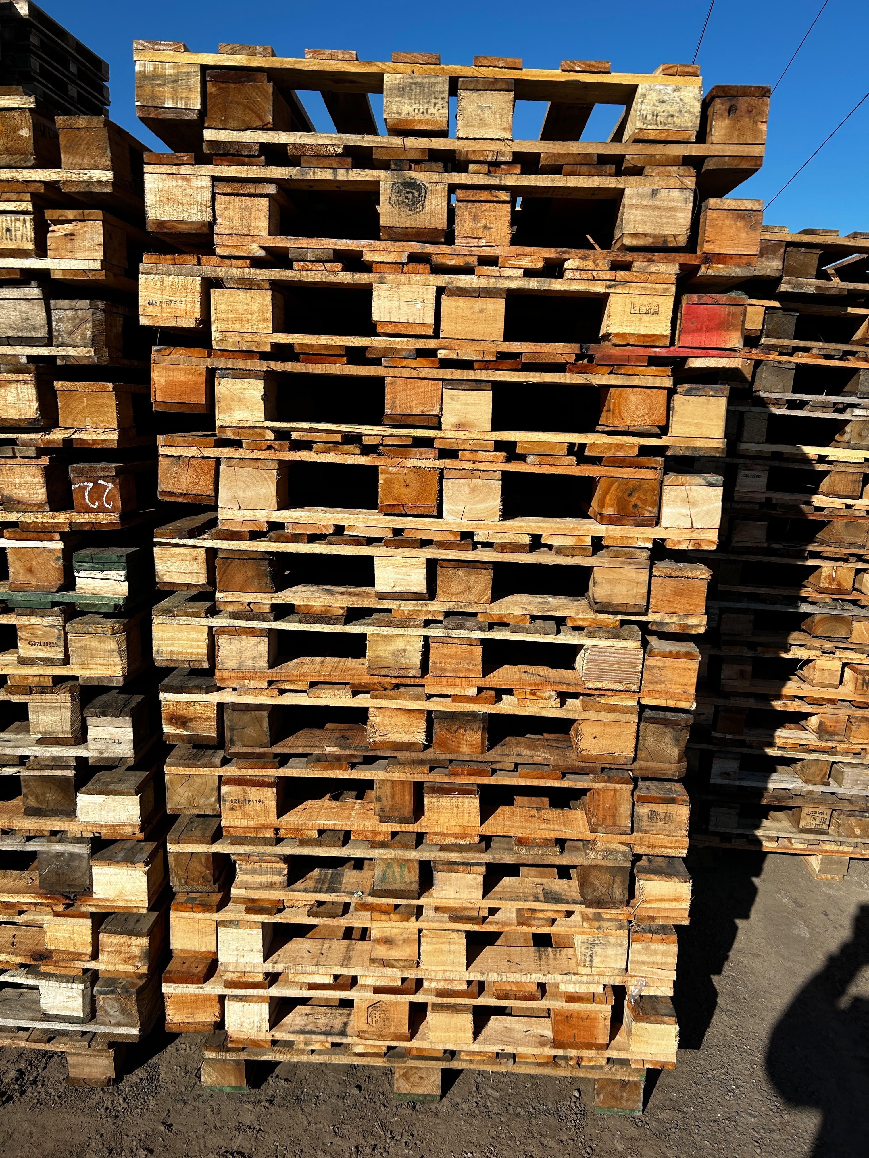 Pallet C (Tacos 90/100) - Vista 2