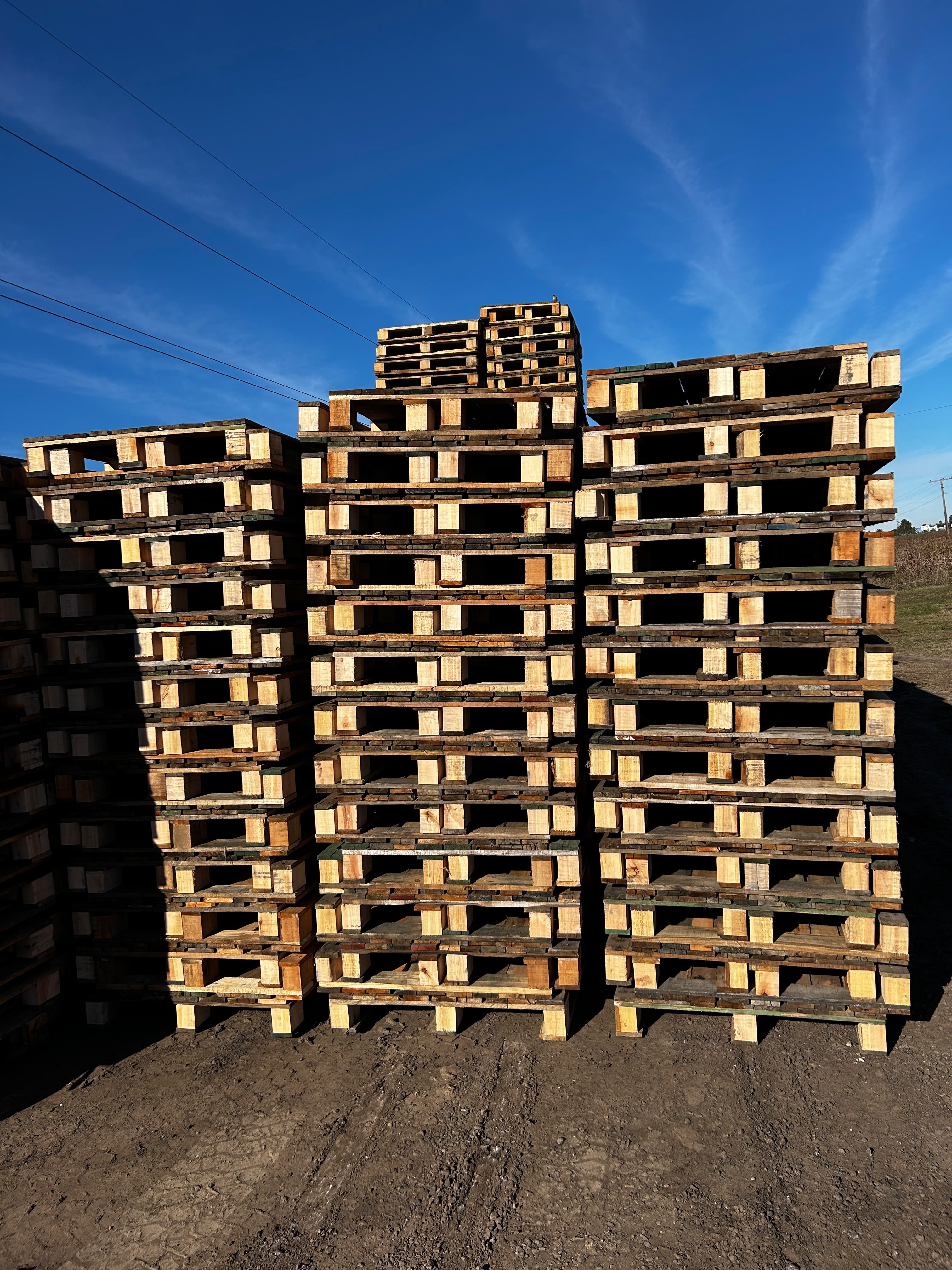 Pallet Huevo - Vista 1