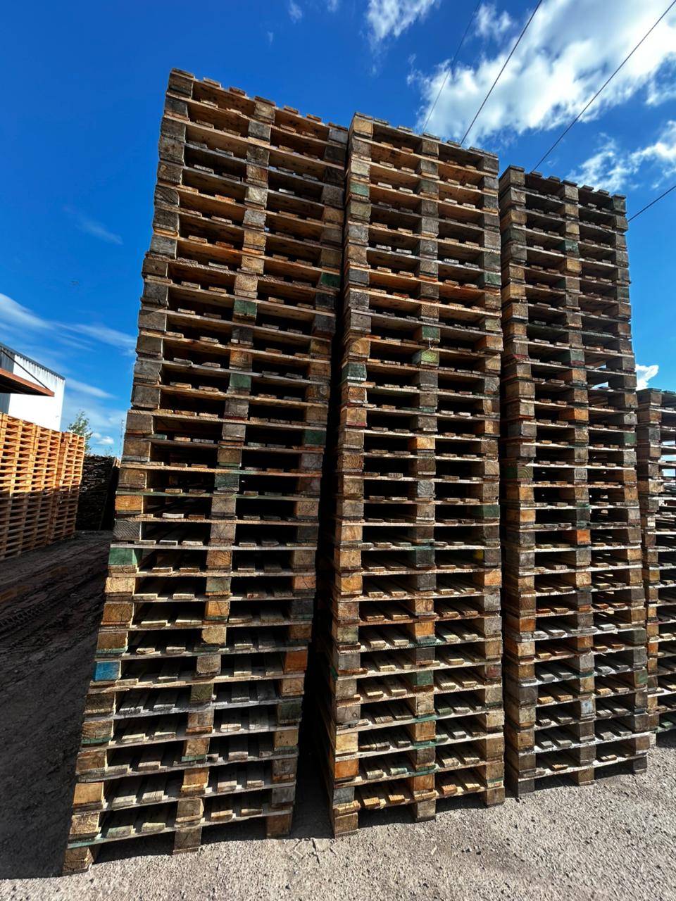 Pallet Estándar